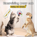 Interactive Cat Toy Mouse Ball Cage Random Color Plush Mouse  Kitten Play Toys for Indoor Kittens Exercise Pet Supplies