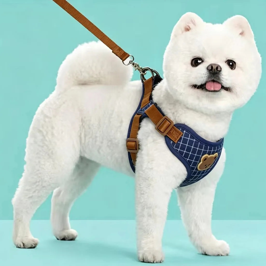 Pet Dog Harness Leash Set Small Medium Dog Cat Vest Breathable Puppy Chest Strap French Bulldog Chihuahua Harness Pet Supplies