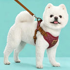 Pet Dog Harness Leash Set Small Medium Dog Cat Vest Breathable Puppy Chest Strap French Bulldog Chihuahua Harness Pet Supplies