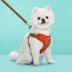 Pet Dog Harness Leash Set Small Medium Dog Cat Vest Breathable Puppy Chest Strap French Bulldog Chihuahua Harness Pet Supplies