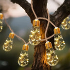 New Arrival! Solar Fairy Lights with 25/15/10 Unbreakable Clear Bulbs - IP44 Waterproof & 8 Modes for Outdoor Bliss!