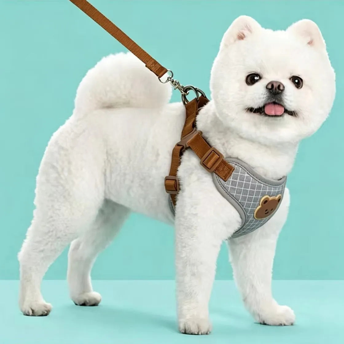 Pet Dog Harness Leash Set Small Medium Dog Cat Vest Breathable Puppy Chest Strap French Bulldog Chihuahua Harness Pet Supplies
