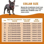 New Style Pet Collar Necklace Cat Dog Full Diamond Cuban Chains Dog Chains Lock Buckle Gold Silver Rose Gold Pet Supplies